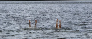 Fritt fram att bada vid Arcus camping igen