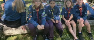 De åker på jätteträff för scouter