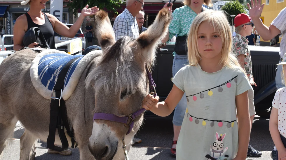 På torget finns det två åsnor som barnen får rida på. Ellen Boström leder åsnorna runt på torget. 