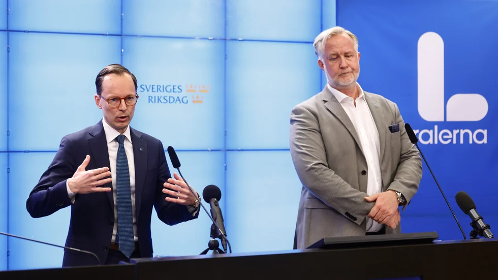 Liberalernas ekonomisk-politiska talesperson Mats Persson och partiledare Johan Pehrson. Arkivbild.