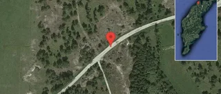 Ko på vägen på väg 149