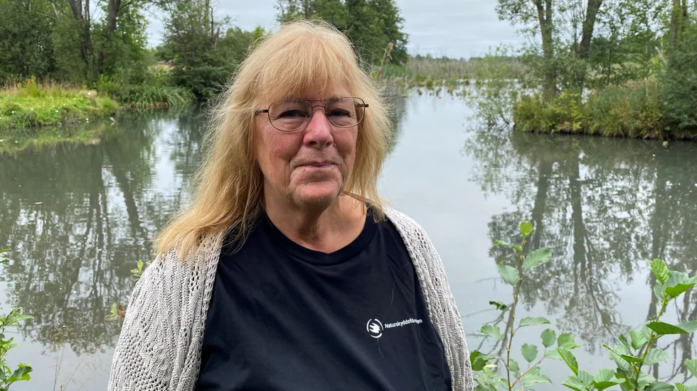 Inger Lindgren som är ordförande i Naturskyddsföreningen i Tierp är nöjd att samtliga åtta partier i kommunfullmäktige svarat på deras valenkät om miljöfrågor. 