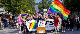 Första prideparaden i Luleå på tre år: "Mycket har blivit bättre – men mycket återstår att göra"