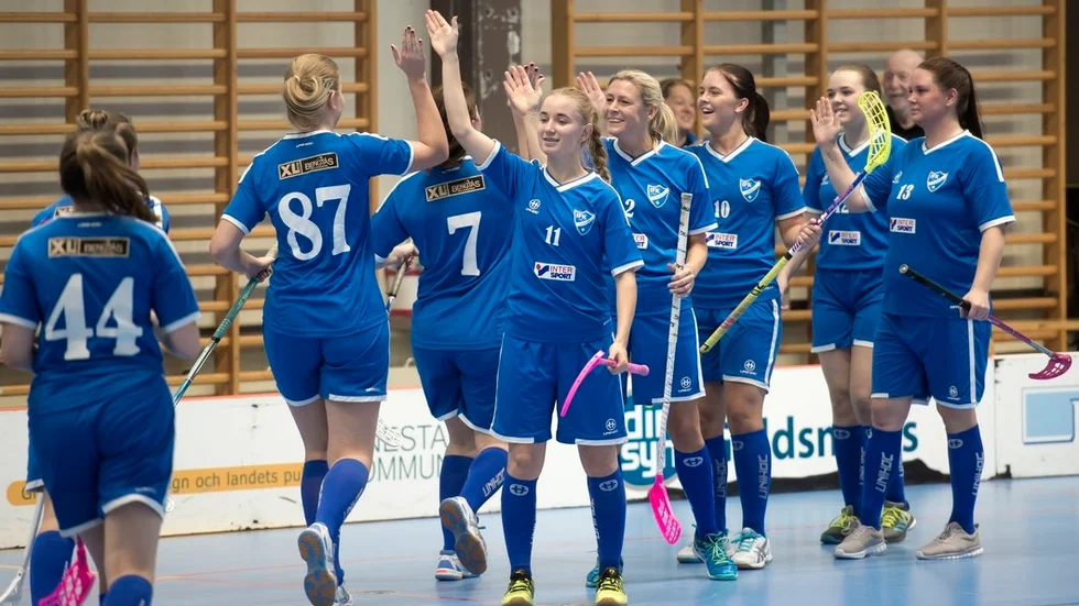 IFK Gnesta och Onyx inleder ett samarbete. Det nya damlaget kommer att spela under namnet IFK Gnesta/Onyx IBS.