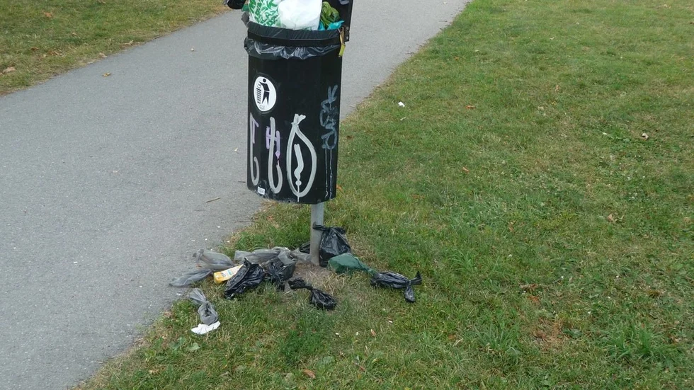 Papperskorgen är överfull, noterar signaturen "Fortsätt tjata".