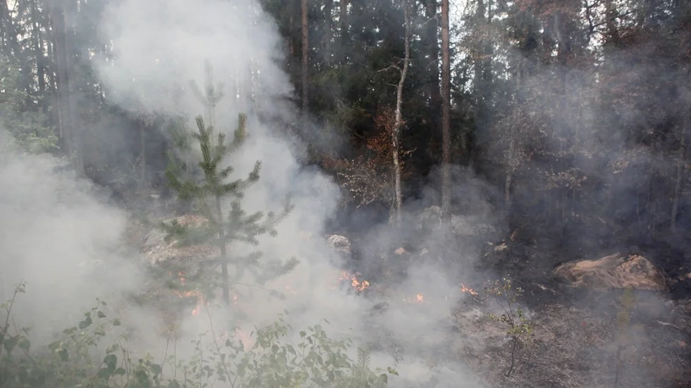 Pyrande rök vid skogsbrand i Ljusdals kommun, i närheten av Ängra och Huskölen i slutet av juli.