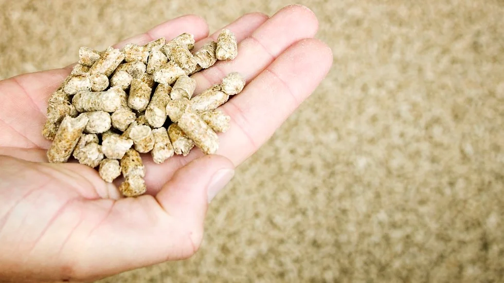 I Sörmland finns det fler öppna spisar och kaminer än småhus. Det som lockar är att kunna mysa framför en brasa samtidigt som man värmer sitt hus. Men om fler eldar med pellets i stället för med ved ökar klimatnyttan utan att mysfaktorn minskar, skriver Peter Granborn på bioenergiföretaget Scandbio.