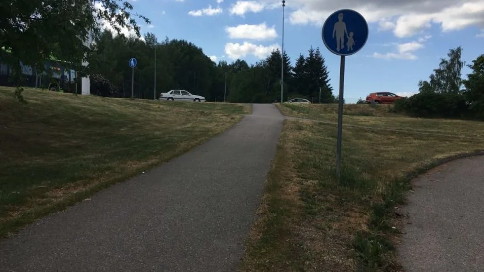 Det ser lugnt ut på bilden, men enligt åklagaren var det inte så i juni förra året när den misstänkte 21-åringen körde här i full fart bland fotgängare och annan trafik.