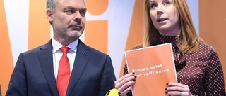 Debatt: ”Gör det inte onödigt svårt att byta regering”