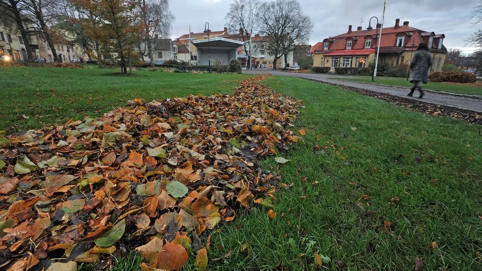 I Ugglans park kan det bli tillåtet att förtära alkoholhaltiga drycker under vissa tider nästa år.