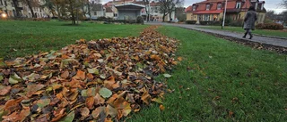 Alkoholförtäring i Ugglans park blir tillåtet
