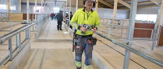 Nybyggd mjölkladugård visades upp