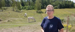 "Nästan inget bete i hagarna"