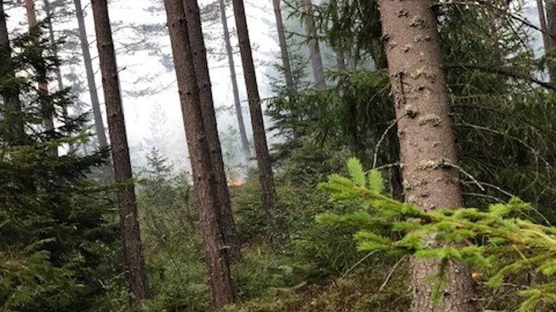 På onsdagen utbröt en brand vid Kvarnsjön, norr om Gnesta.