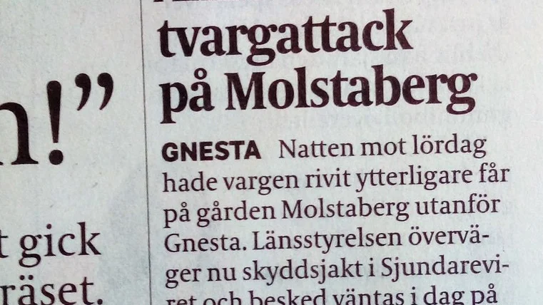 En nytt djur smög sig in  på SN:s etta 7/5 ...