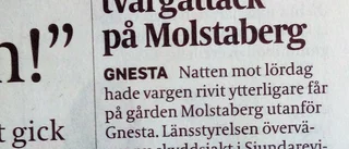 Nytt djur  i Sörmlands fauna?