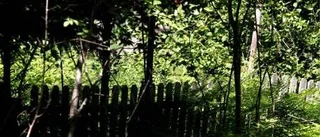 Socialtjänsten missade hot mot flickan