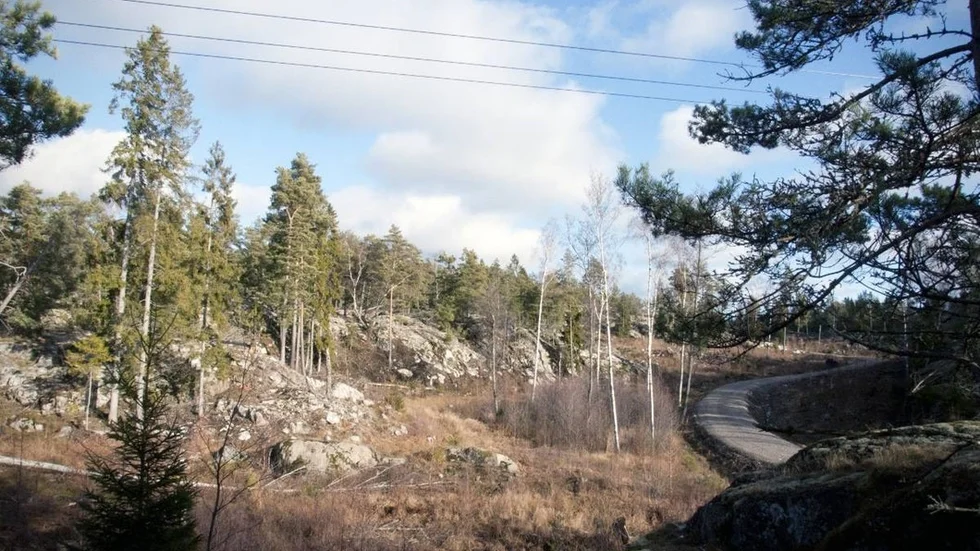 Vindkraft_1.jpg