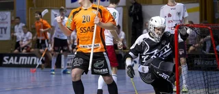 Elb gladde i sur Onyxförlust
