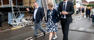 Regeringen tittar på danska åtgärder