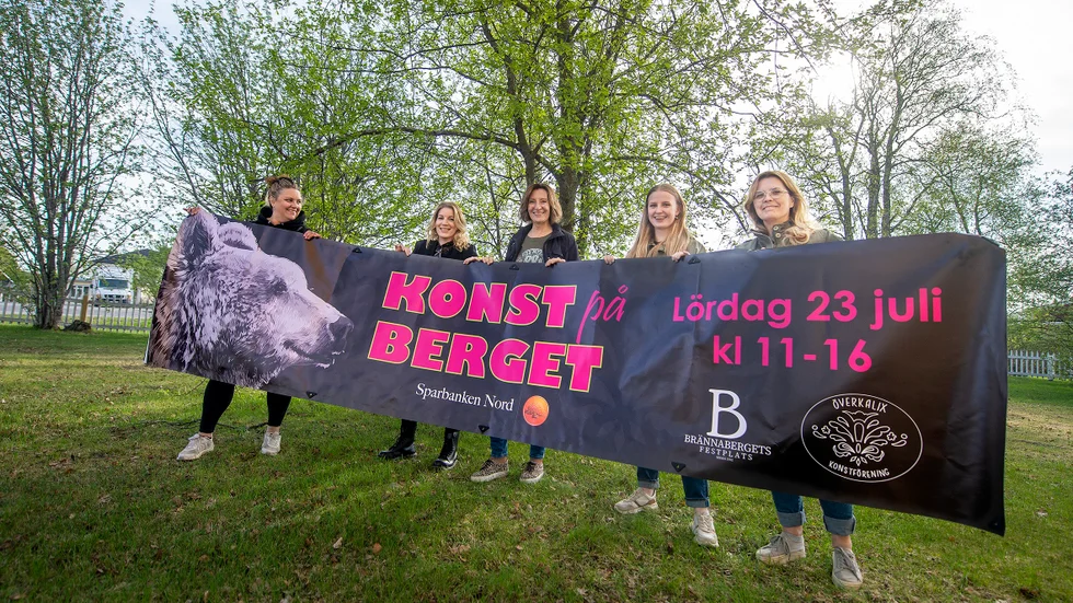 De har tagit över stafettpinnen för konstföreningen. Katarina Nilsson, Lotta Karlsson, Therese Boström, Hannah Boström och Anna Johansson. 