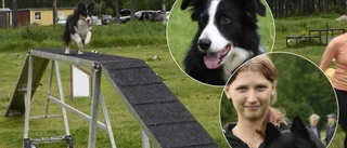 Fullt rally på Luleå brukshundsklubb • Jag är en "crazy dog lady"