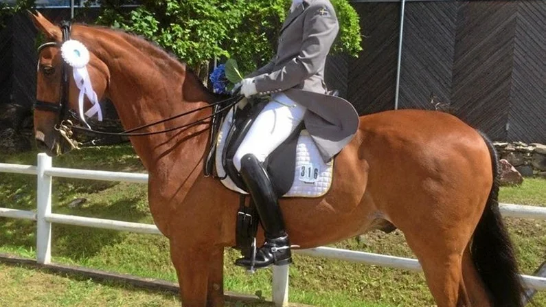 Per Duvefelt från Gnesta RK och hästen Edvin har fått plats på världscupen i Göteborg Horse Show.