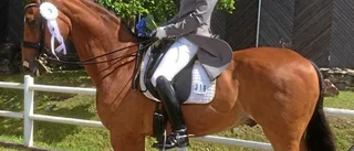 Per blixtinkallad till Göteborg Horse Show