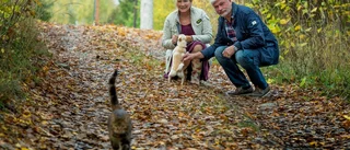 Kommunen får rätt om Fasanvägen