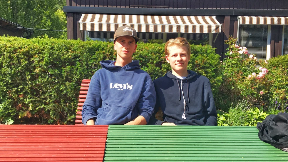 Efter gymnasiet tänker Alvar göra lumpen, därefter plugga vidare inom naturämnena. Hilding funderar att plugga vidare till läkare.