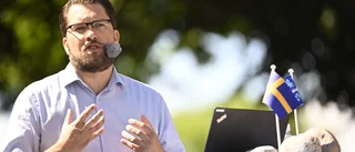 Åkesson: S har avsiktligt förstört landet