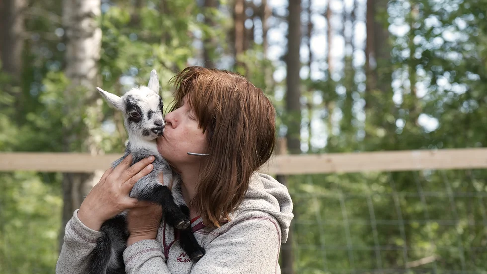 Jeanette Ågren myser med en killing efter matning.