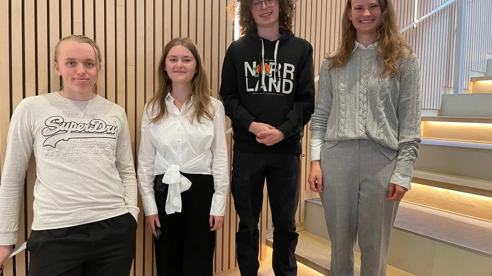 Dennis Karlsson, Tova Kärrman, Björn Malmgren och Linn Rydenstam berättar om stadsplaneringen.