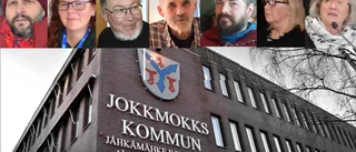 Partiernas hjärtefrågor:  ✓ Stoppa gruvan ✓ De unga ✓ Utveckla näringslivet ✓ Värna personalen