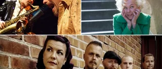 Äntligen restriktionsfritt för rockabillyfestivalen i Vilsta: "19 band, sandstrand och skivmarknad"