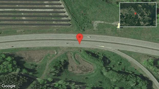 Älg på vägen på E20