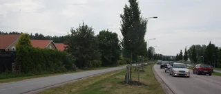 Bullerstörda möts av kommunal tystnad