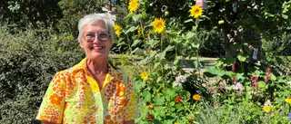 Carina har en gerillaodling – vill hjälpa humlor och bin • Årets nytillskott är Ukraina-inspirerat