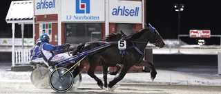 V64: Skellefteåtravet dominerade på vinterbana – slog till med fem segrar