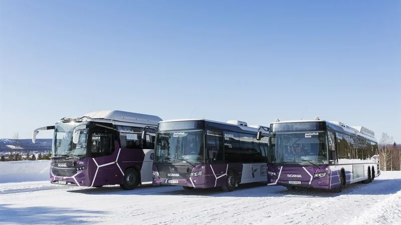 Några av Skelleftebuss nya bussar.