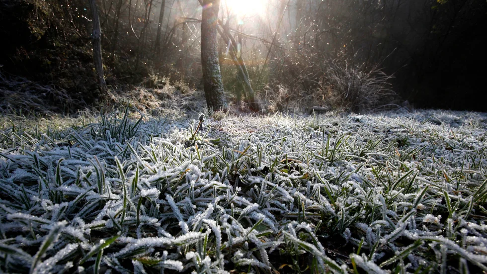 En kylig morgon över hela kommunen lyses upp av en blek novembersol.