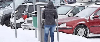 Mynt är klart bäst för småsummor
