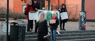 De unga droppade av – de äldre blev kvar i Fridays for future: "Glamouröst har det aldrig varit"