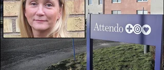 ”Terra Nova är en fungerande verksamhet i dag”