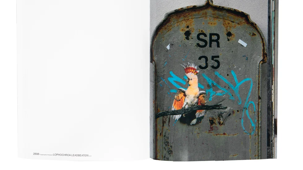 Ett uppslag ur Erik Berglins bok "The Bird project 2006–2917", en av fem böcker som kan få Svenska Fotobokspriset. Pressbild.