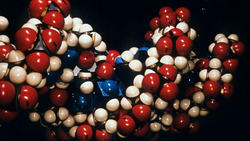 Gensaxen Crispr har revolutionerat möjligheterna att klippa och klistra i vår arvsmassa. Arkivbild.