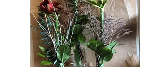 Härlig snittamaryllis