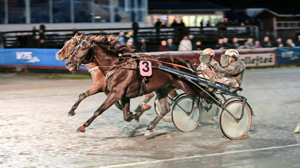 Favorit som höll. Jaques Noir vinner den sjätte V75-avdelningen med en hals före tvåan Lukas Bris. Foto: Ola Westerberg.