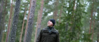 Nytt arbetssätt resulterar i mindre skador i skogen