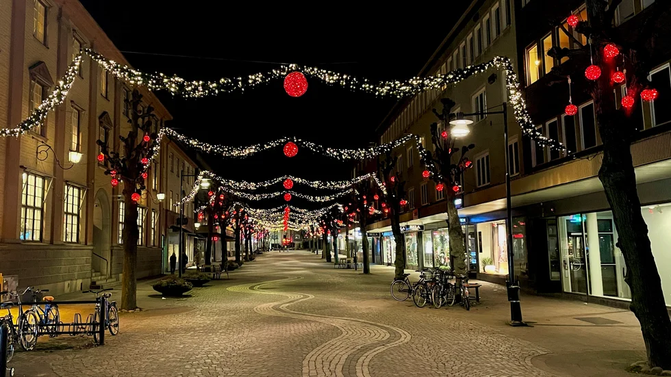 Katrineholm är en lustgård med raka alléer och prunkande blommor, men en lustgård utan empati för de utsatta i samhället, skriver Lasse Gustafsson.